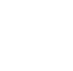 Watch City MMA logo