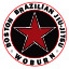 Boston Brazilian Jiu Jitsu Academy Woburn logo
