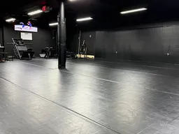 Ann Arbor BJJ logo