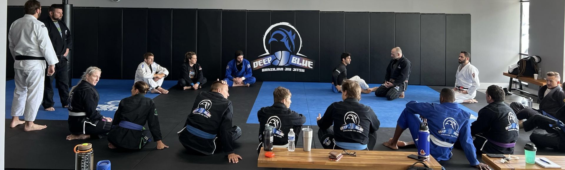 Deep Blue Brazilian Jiu Jitsu logo