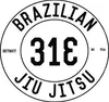 313 Brazilian Jiu Jitsu logo
