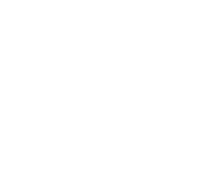 Ronin Martial Arts Academy logo