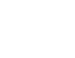 Simmons Academy of Wrestling logo