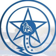Middle Jiu-Jitsu star logo