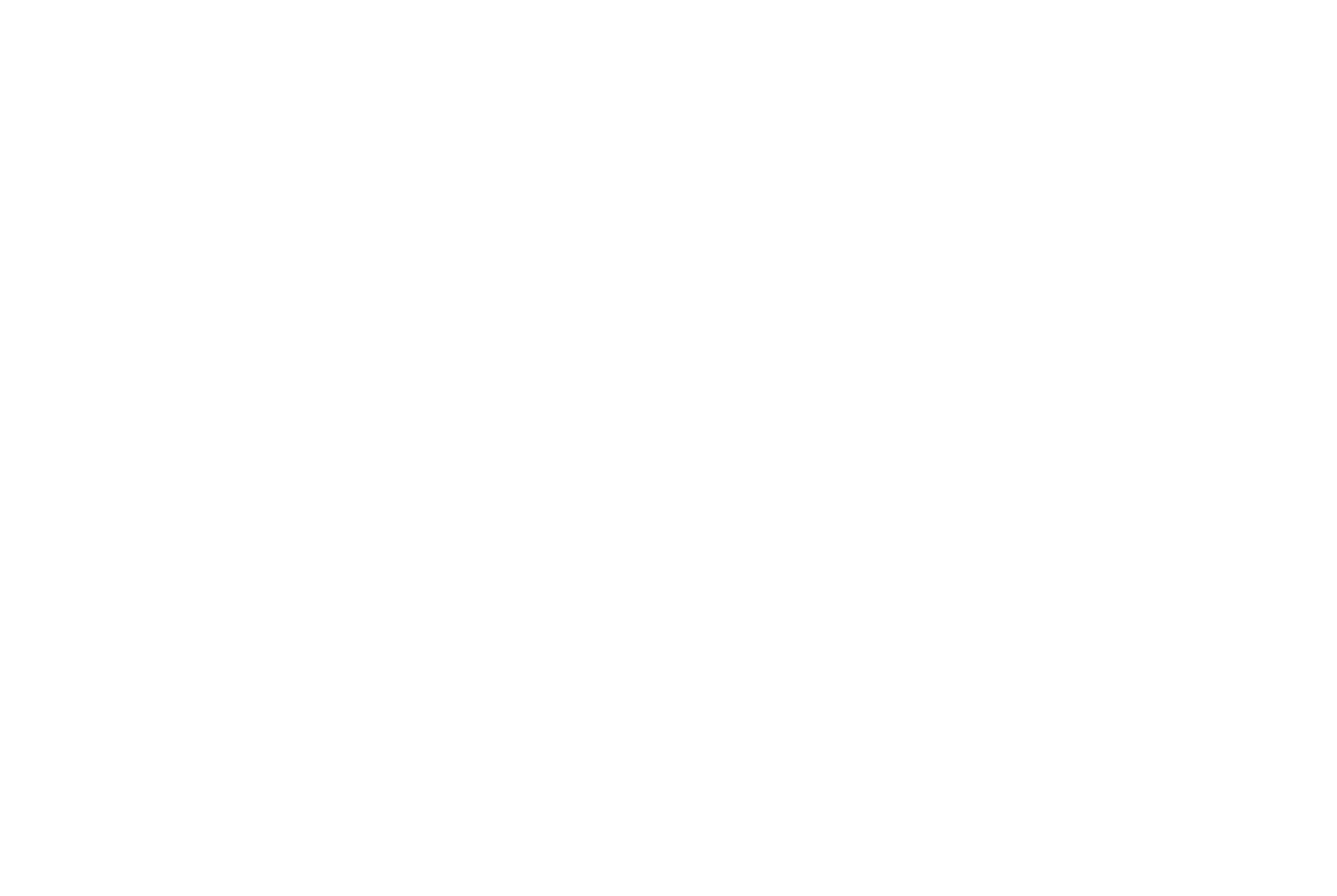 Jungle Gym Boxing Academy logo