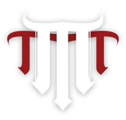 Minnesota Top Team logo