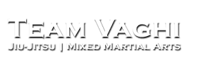 Team Vaghi Headquarters logo