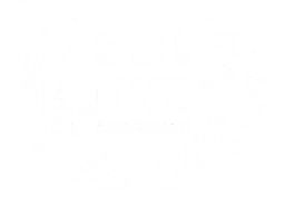 STL Boxing Academy logo
