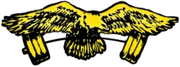 Eagle Gym logo