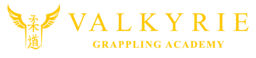 Valkyrie Grappling Academy logo