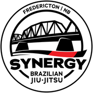Synergy BJJ logo