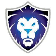 New England Top Team, RMNU NH Brazilian Jiu Jitsu logo