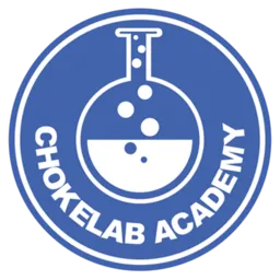 Chokelab Brazilian Jiu-Jitsu Academy logo