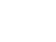 Sheridan Brazillian Jiu Jitsu logo