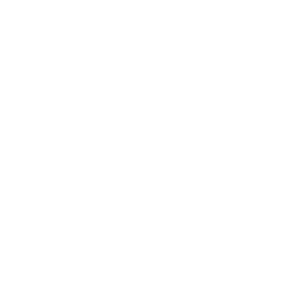 dark haven studio logo