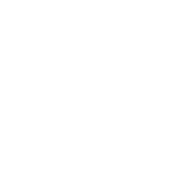 Northsouth Jiu Jitsu Newcastle logo