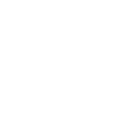 The Dojo logo