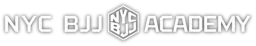 Modern Martial Arts - Midtown logo