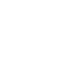 CASTLE GYM BONN | MMA Ringen Kick/Thaiboxen Boxen Fitness & Selbstverteidigung logo