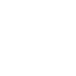 Sticks & Stones Martial Arts logo