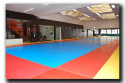 Budokan Judo Et Jiu Jitsu logo
