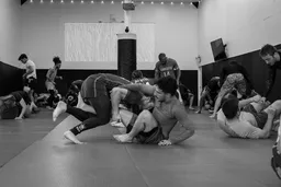 Charlotte Jiu-Jitsu Academy logo