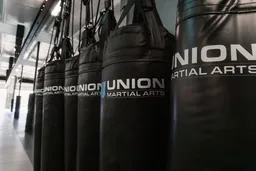 Union Martial Arts logo