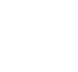 Gracie Jiu-Jitsu logo