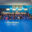 Limitless Brazilian Jiu Jitsu & Fitness logo