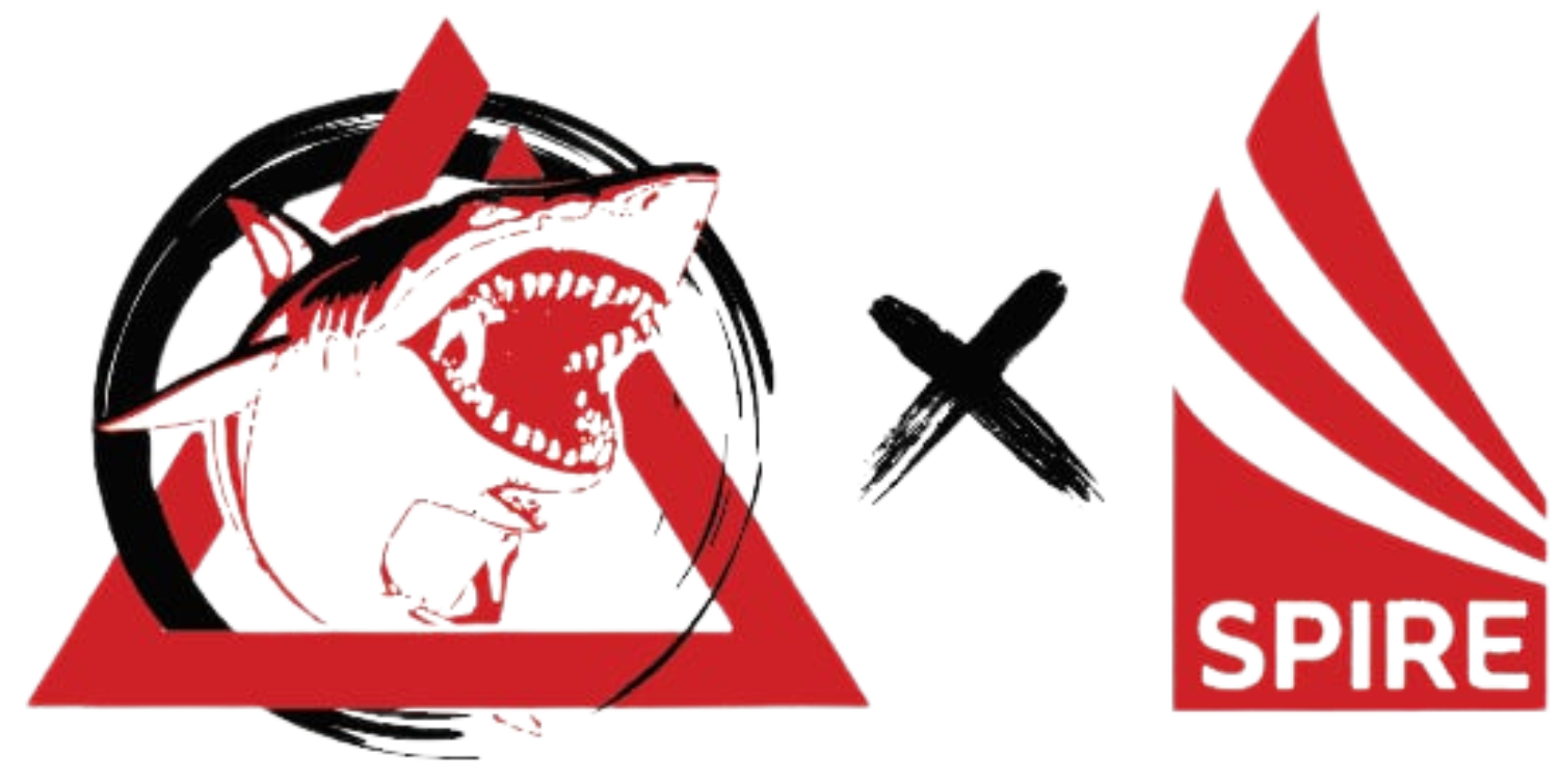 Relson Gracie Combat Club logo