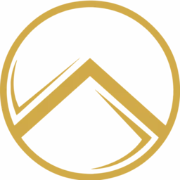 Veritas Jiu Jitsu logo