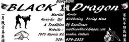 Northern Black Dragon Martial Arts logo