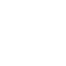 Dapo Martial Arts logo