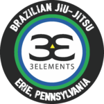 3 Elements BJJ and MMA logo
