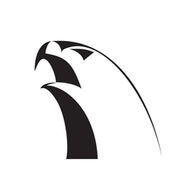 Alliance Jiu Jitsu Teresina logo
