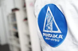 Academia Fernando Pinduka logo