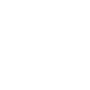 Kampfsportschule Leipzig logo