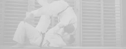 The House Fight Company Jiu Jitsu | Santos logo
