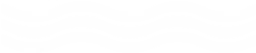 Low Tide Brazilian Jiu Jitsu logo
