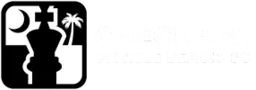 Checkmat Brazilian Jiu-Jitsu Myrtle Beach logo