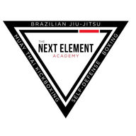 The Next Element Academy logo