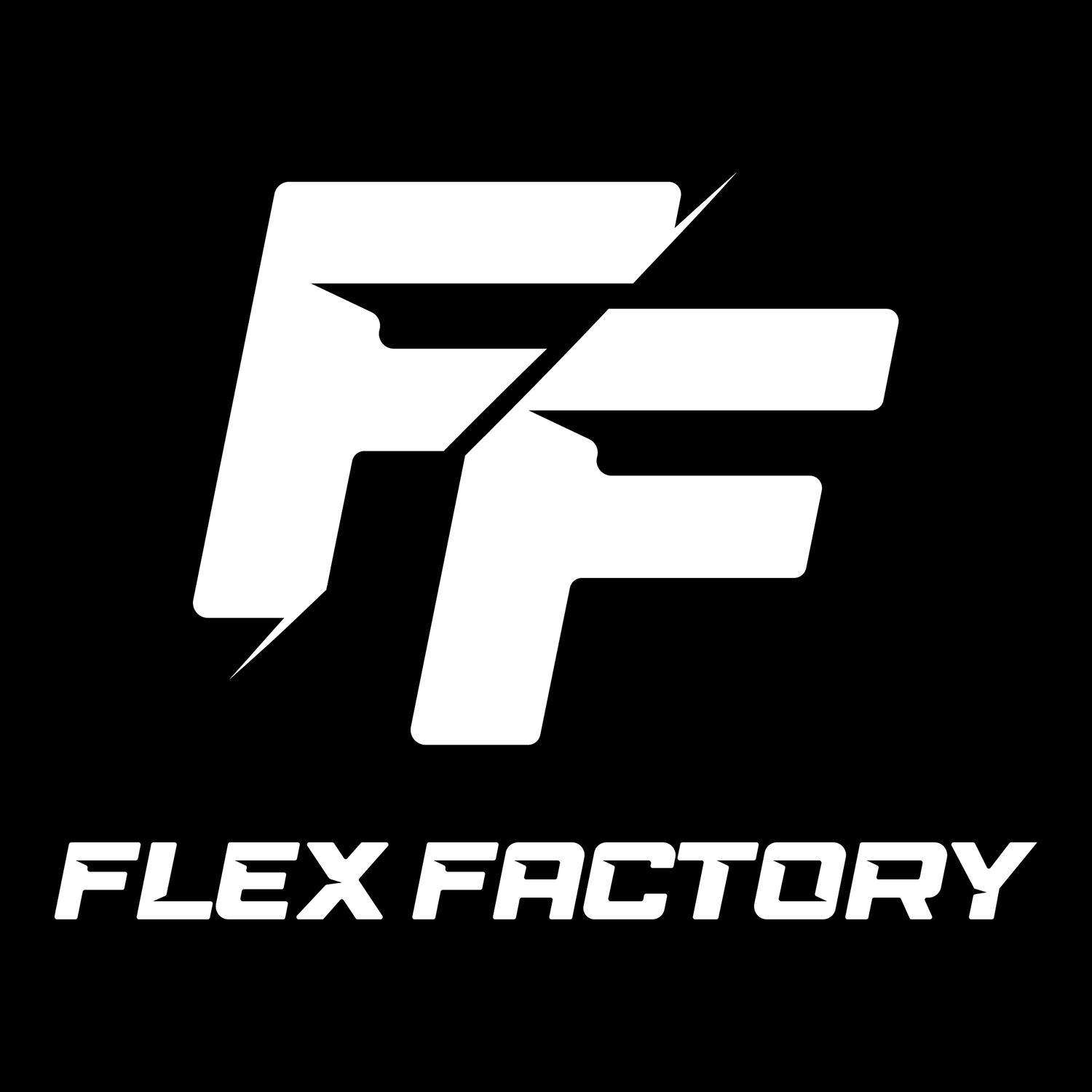 Flex Factory - Sioux Falls logo