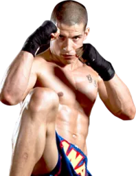 Houston MMA Classes logo