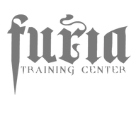 Furia Training Center - Mixed Martial Arts logo