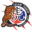 Team Tiger Martial Arts logo
