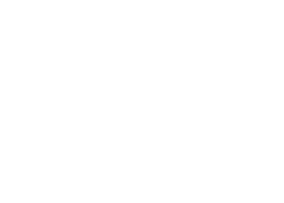 Next Level Jiu Jitsu logo