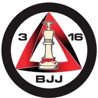 316 BJJ logo