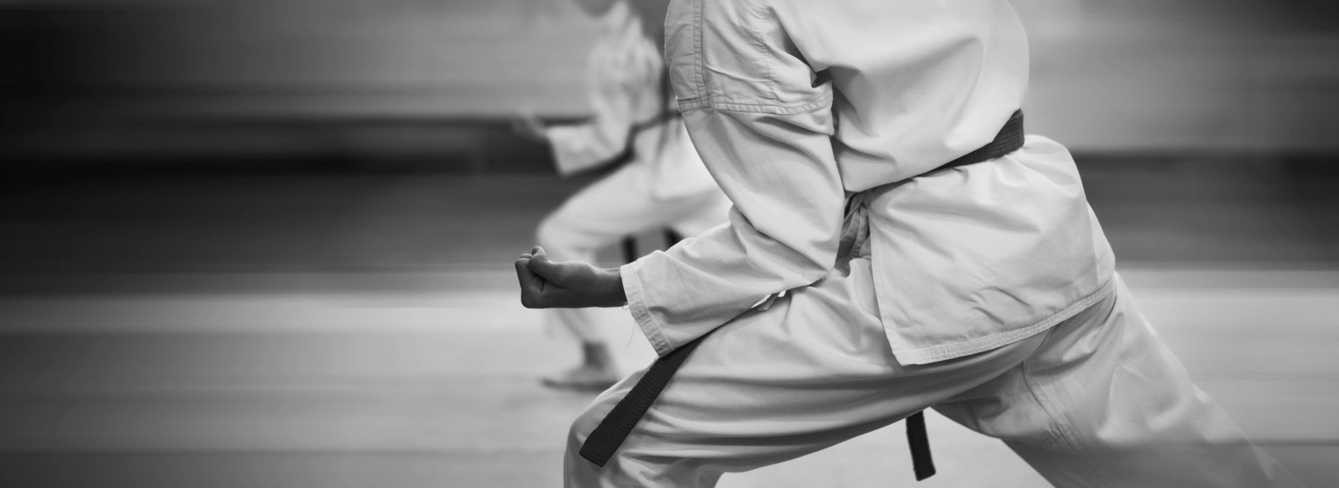 Jiu-Jitsu Syndicate logo