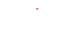 TX 3RD COAST MMA logo