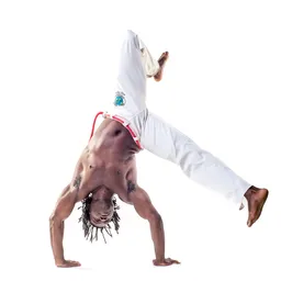 Salt Lake Capoeira & Brazilian Jiu-Jitsu logo